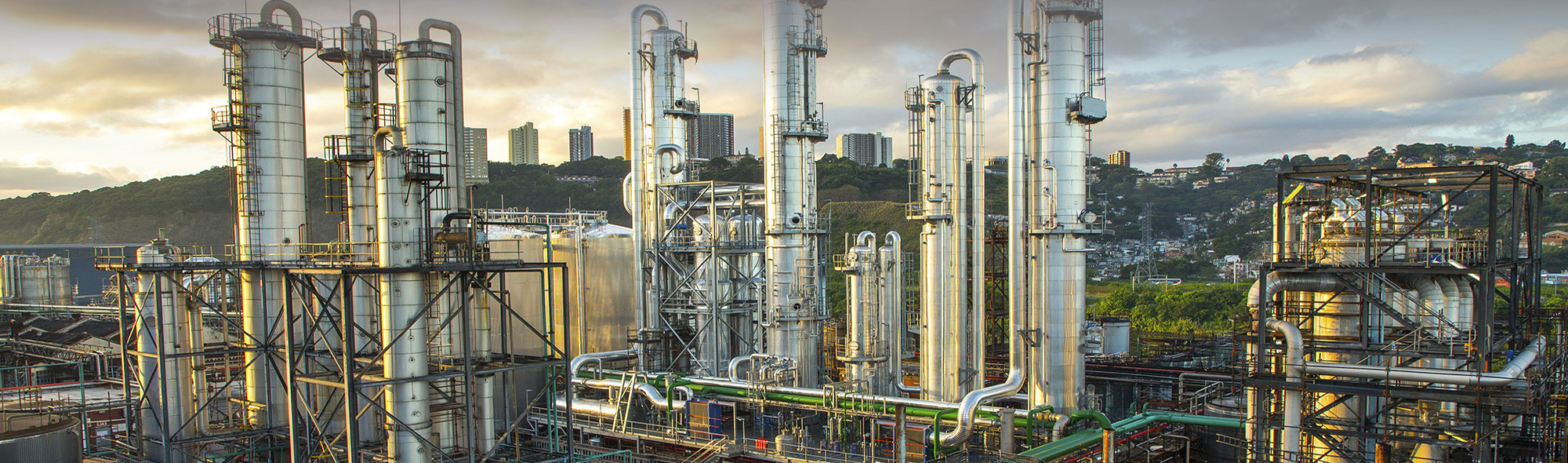 Striving for Sustainability